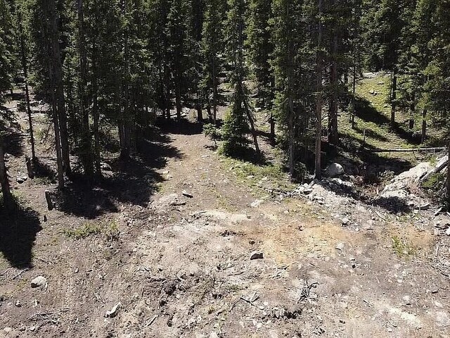 117 Miners Way, Fairplay, CO 80440