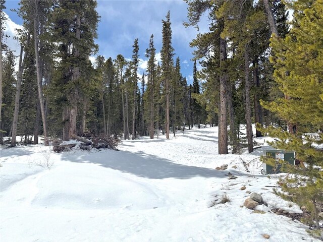 117 Miners Way, Fairplay, CO 80440