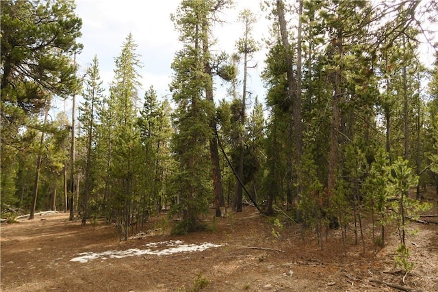 2930 Lakeside Dr, Fairplay, CO 80440