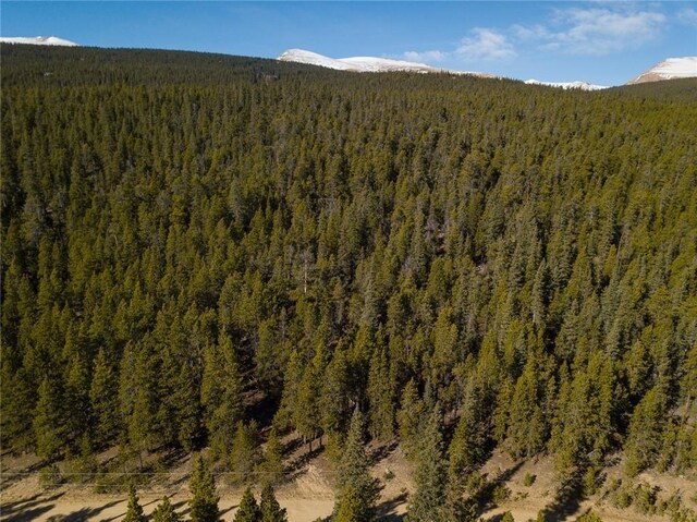 2930 Lakeside Dr, Fairplay, CO 80440