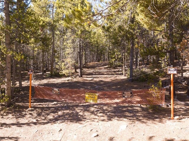 2930 Lakeside Dr, Fairplay, CO 80440