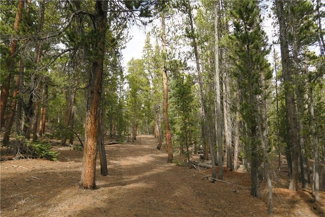 2930 Lakeside Dr, Fairplay, CO 80440