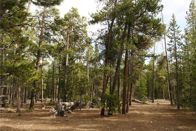 2930 Lakeside Dr, Fairplay, CO 80440