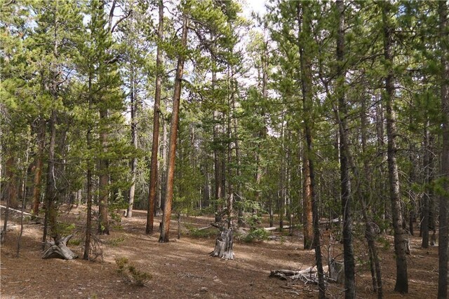 2930 Lakeside Dr, Fairplay, CO 80440