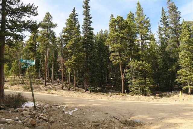 2930 Lakeside Dr, Fairplay, CO 80440