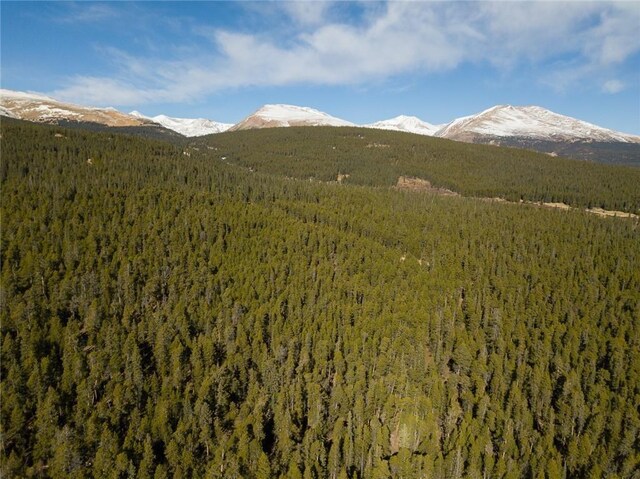 2930 Lakeside Dr, Fairplay, CO 80440