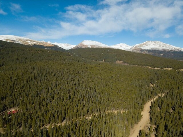 2930 Lakeside Dr, Fairplay, CO 80440