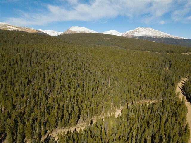 2930 Lakeside Dr, Fairplay, CO 80440