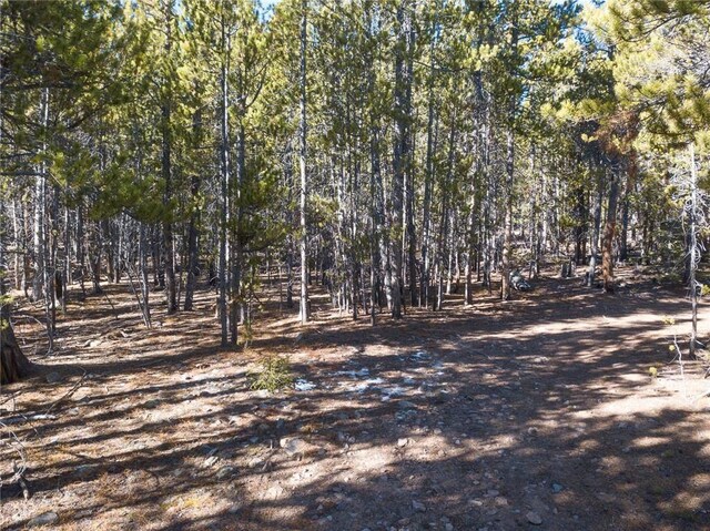 2930 Lakeside Dr, Fairplay, CO 80440