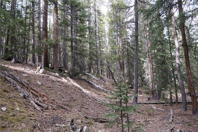 2930 Lakeside Dr, Fairplay, CO 80440