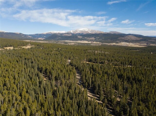 2930 Lakeside Dr, Fairplay, CO 80440