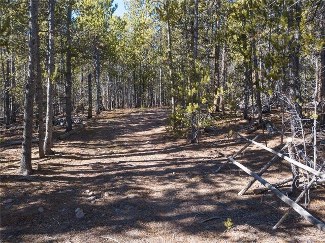2930 Lakeside Dr, Fairplay, CO 80440