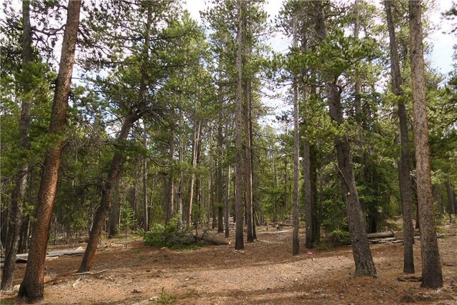 2930 Lakeside Dr, Fairplay, CO 80440