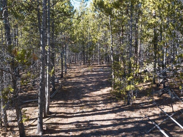 2930 Lakeside Dr, Fairplay, CO 80440