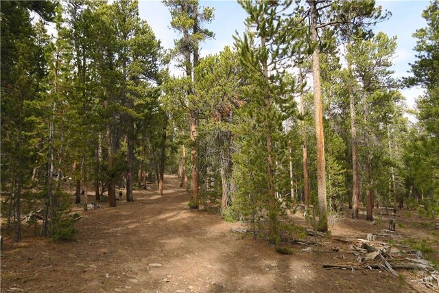 2930 Lakeside Dr, Fairplay, CO 80440