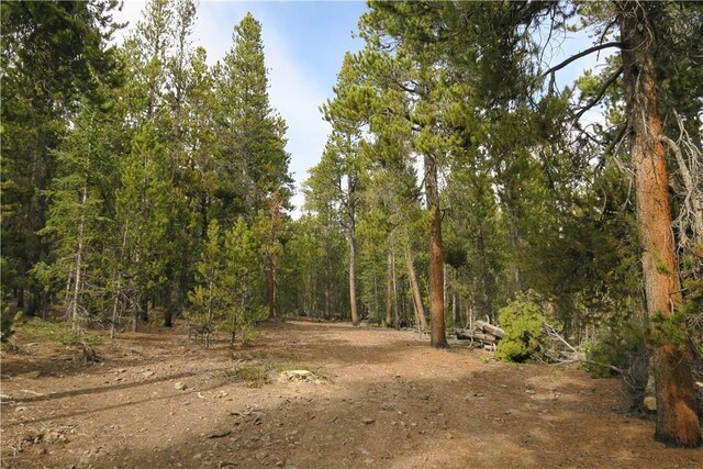 2930 Lakeside Dr, Fairplay, CO 80440
