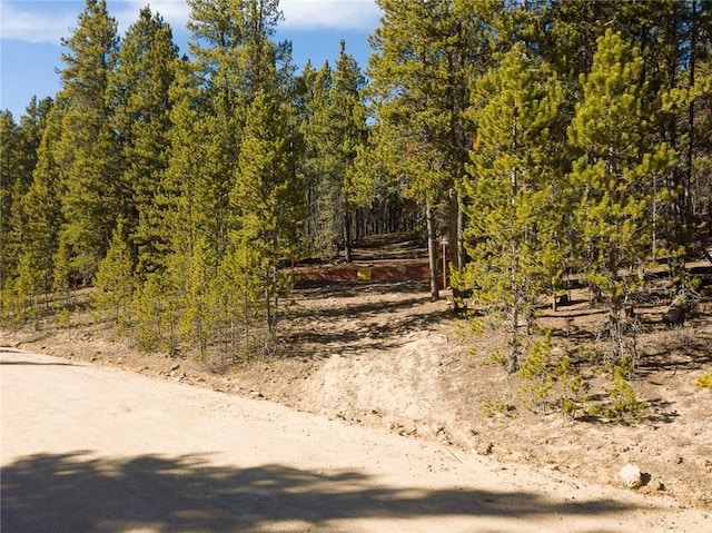 2930 Lakeside Dr, Fairplay, CO 80440