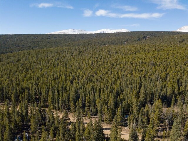 2930 Lakeside Dr, Fairplay, CO 80440
