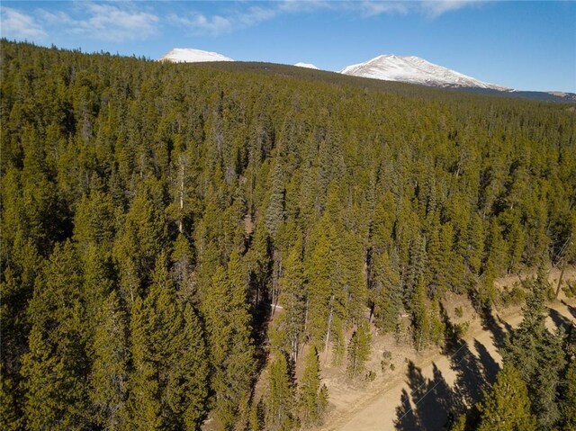 2930 Lakeside Dr, Fairplay, CO 80440