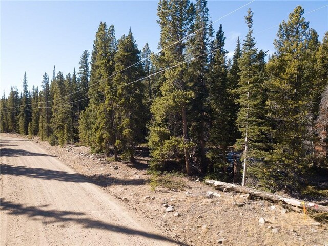 2930 Lakeside Dr, Fairplay, CO 80440