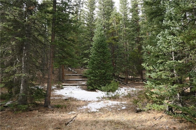 2930 Lakeside Dr, Fairplay, CO 80440