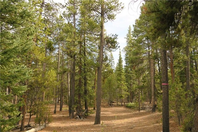 2930 Lakeside Dr, Fairplay, CO 80440