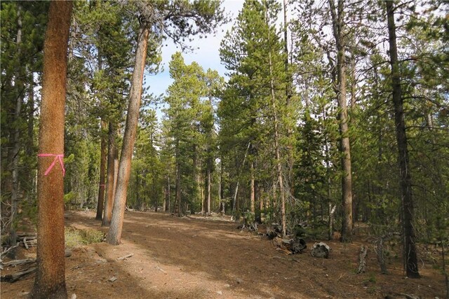 2930 Lakeside Dr, Fairplay, CO 80440