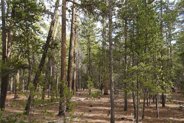 2930 Lakeside Dr, Fairplay, CO 80440
