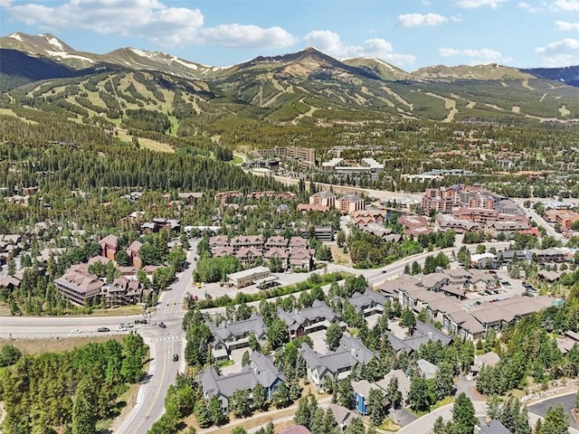 680 S Main St Unit 30, Breckenridge, CO 80424 - photo 43