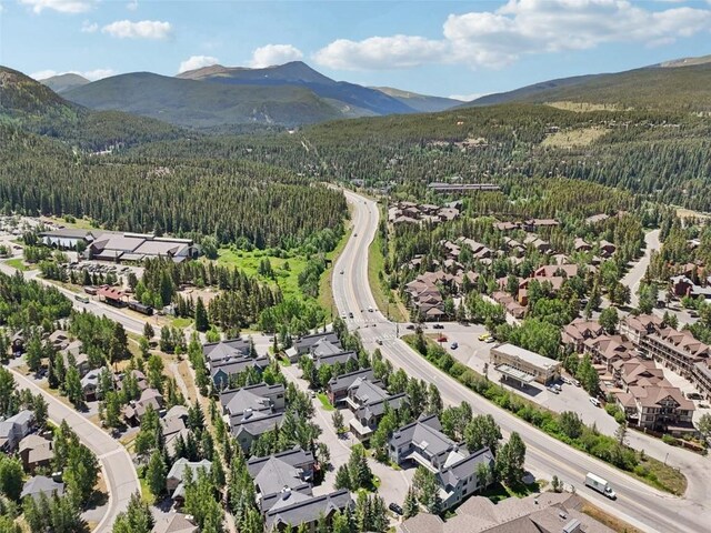 680 S Main St Unit 30, Breckenridge, CO 80424 - photo 42
