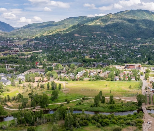 858 Dougherty Rd, Steamboat Springs, CO 80487 - photo 33