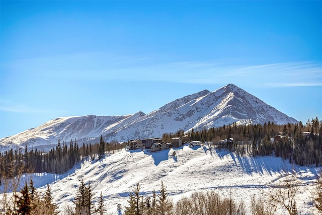 901 Rainbow Dr, Silverthorne, CO 80498 - photo 45
