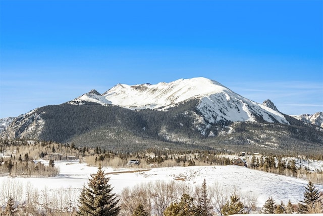 901 Rainbow Dr, Silverthorne, CO 80498 - photo 4