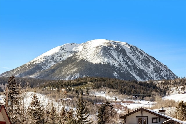 901 Rainbow Dr, Silverthorne, CO 80498 - photo 3