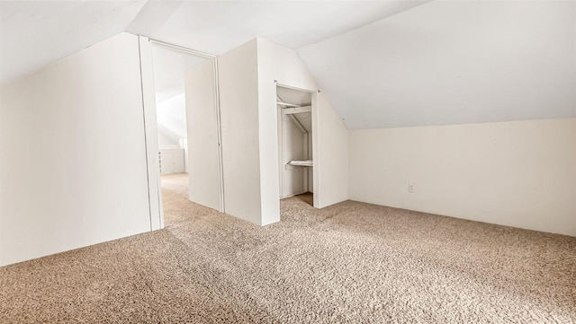 additional living space with carpet and lofted ceiling