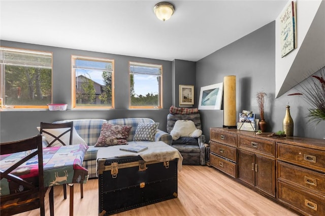 27358 Brandon Cir, Steamboat Springs, CO 80487 - living area featuring light wood finished floors
