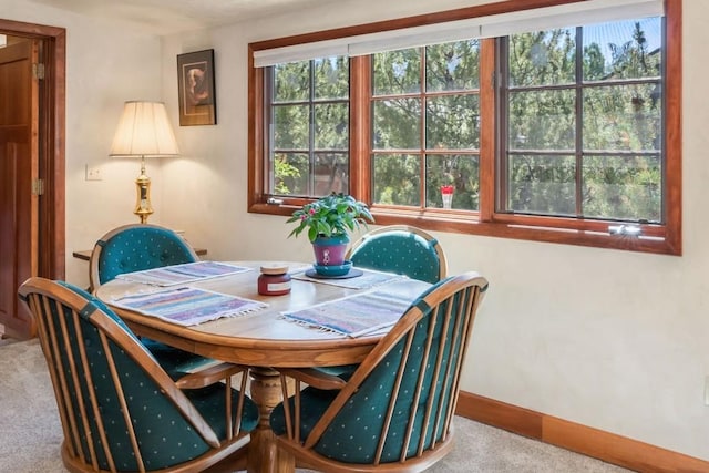 27125 Moonlight Way, Steamboat Springs, CO 80487 - dining room with carpet floors