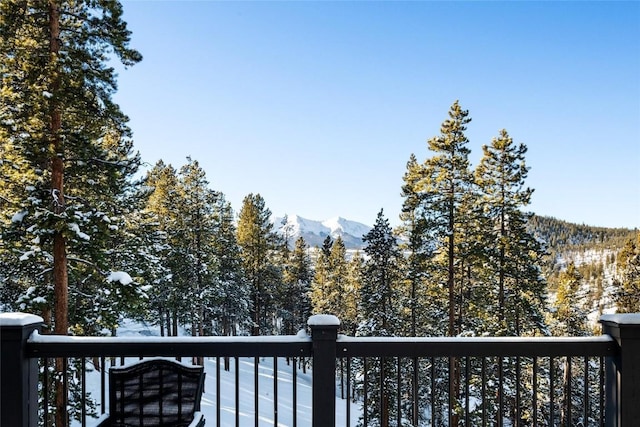 157 Outta Bounds Dr, Breckenridge, CO 80424 - photo 49