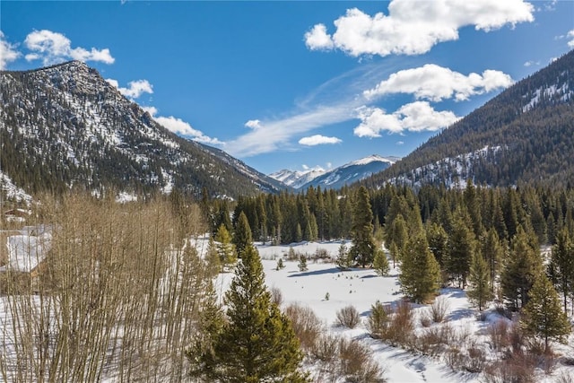 view of mountain feature featuring a forest view