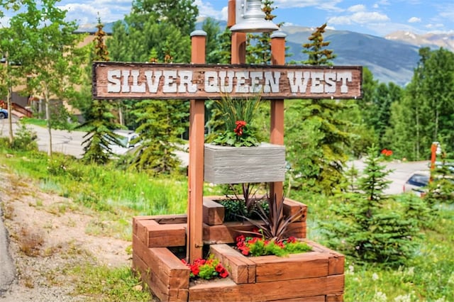 7031 Ryan Gulch Rd Unit 301, Silverthorne, CO 80498 - exterior view of a mountain backdrop