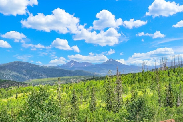 7031 Ryan Gulch Rd Unit 301, Silverthorne, CO 80498 - mountain view