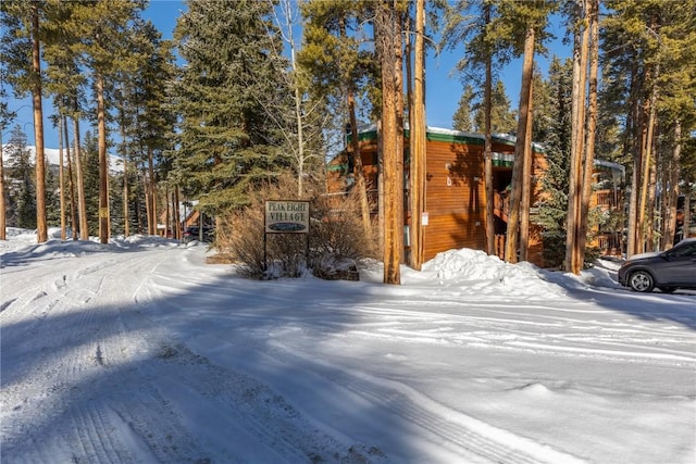 1140 Ski Hill Rd Unit 25, Breckenridge, CO 80424 - view of snow covered property