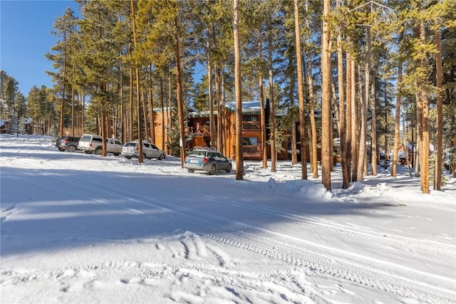 1140 Ski Hill Rd Unit 25, Breckenridge, CO 80424 - view of yard layered in snow