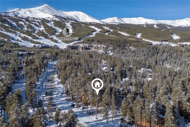 1140 Ski Hill Rd Unit 25, Breckenridge, CO 80424 - mountain view with a forest
