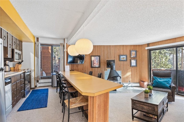 1140 Ski Hill Rd Unit 25, Breckenridge, CO 80424 - kitchen with stainless steel appliances, a wood stove, a textured ceiling, baseboard heating, and a kitchen breakfast bar