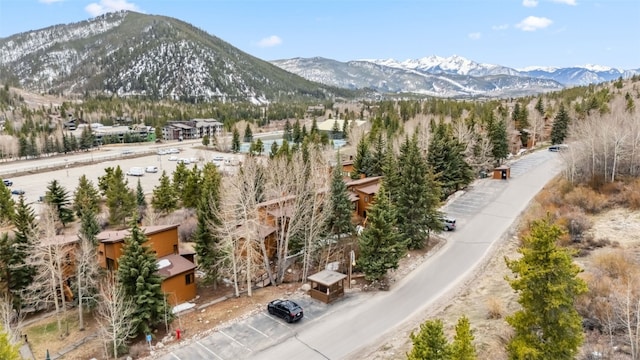 530 Tennis Club Rd Unit 1328, Keystone, CO 80435 - mountain view