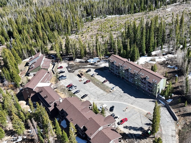 9876 Ryan Gulch Rd Unit 206, Silverthorne, CO 80498 - aerial view of property's location with a forest