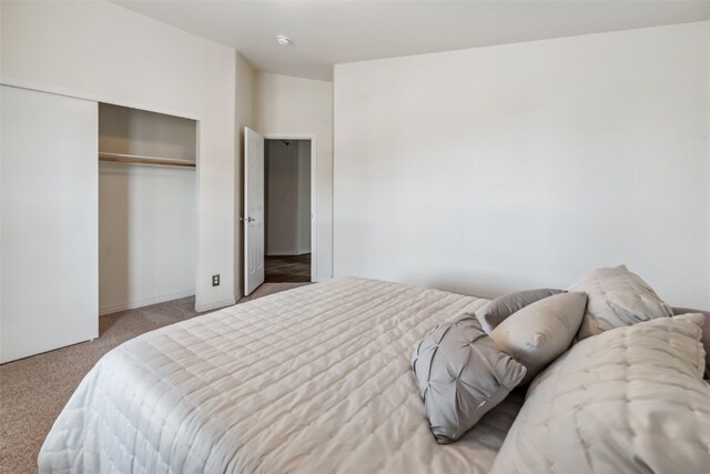 370 Stone Creek Dr, Fairplay, CO 80440 - bedroom with carpet floors and a closet