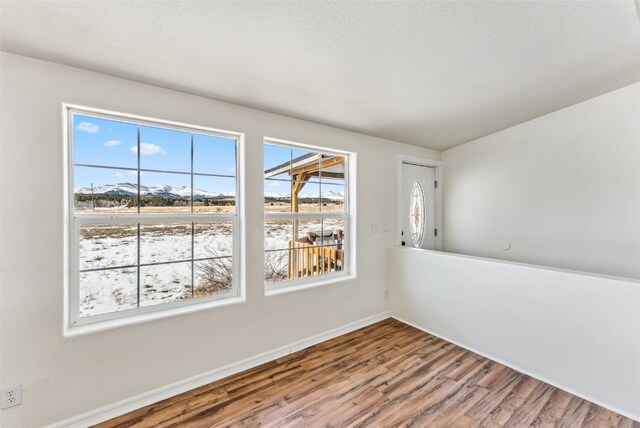 370 Stone Creek Dr, Fairplay, CO 80440 - unfurnished room with baseboards and wood finished floors