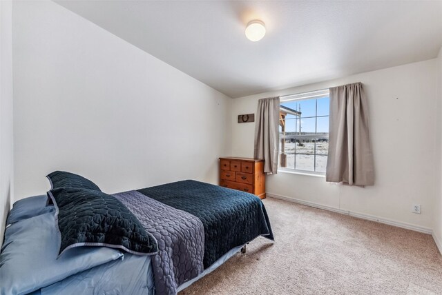370 Stone Creek Dr, Fairplay, CO 80440 - carpeted bedroom with baseboards